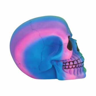 Nemesis Now - Rainbow Skull 15.5cm