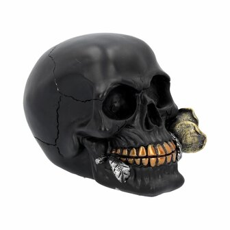 Nemesis Now - Black Rose from the Dead Skull 15cm