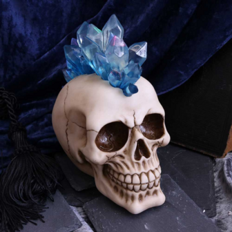 Nemesis Now - Crystal Hawk Skull 18.0cm