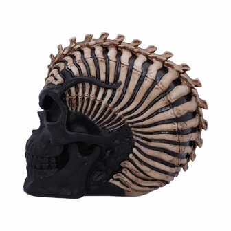 Nemesis Now - Officially Licensed James Ryman Spine Head Skull Skeleton 18.5CM