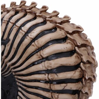 Nemesis Now - Officially Licensed James Ryman Spine Head Skull Skeleton 18.5CM