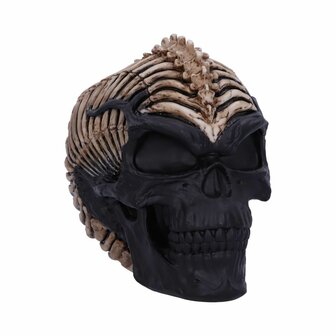 Nemesis Now - Officially Licensed James Ryman Spine Head Skull Skeleton 18.5CM