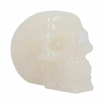 Nemesis Now - Phosphorescent Skull Head 10.5cm