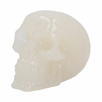 Nemesis Now - Phosphorescent Skull Head 10.5cm