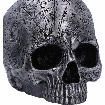 Nemesis Now - Mind Map Skull Head 15cm