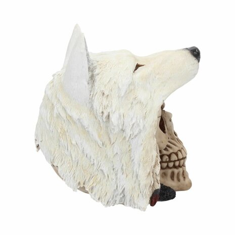 Nemesis Now - Night Wolf Skull 15.6cm