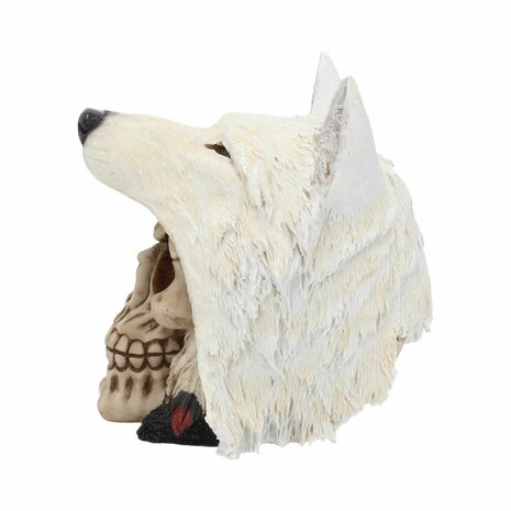 Nemesis Now - Night Wolf Skull 15.6cm