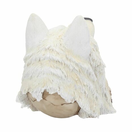 Nemesis Now - Night Wolf Skull 15.6cm