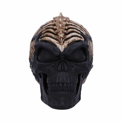 Nemesis Now - Officially Licensed James Ryman Spine Head Skull Skeleton 18.5CM