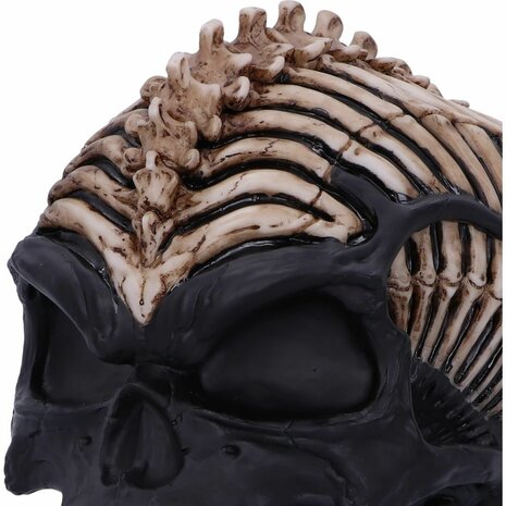 Nemesis Now - Officially Licensed James Ryman Spine Head Skull Skeleton 18.5CM