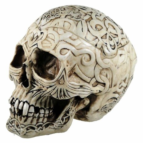 Nemesis Now - Skull Box Engraved With Celtic Patterns 20cm