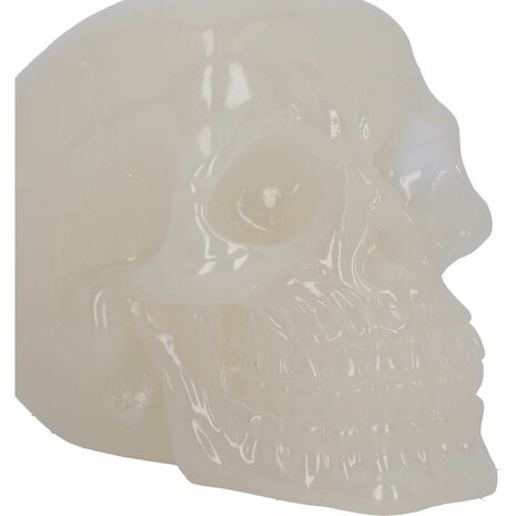 Nemesis Now - Phosphorescent Skull Head 10.5cm