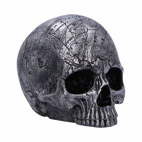 Nemesis Now - Mind Map Skull Head 15cm