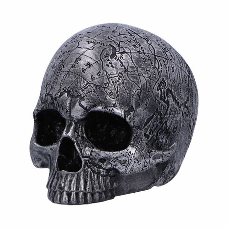 Nemesis Now - Mind Map Skull Head 15cm