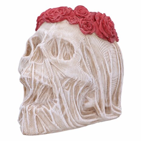 Nemesis Now - The Veil Skull 14.7cm