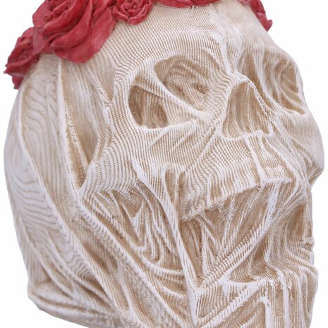 Nemesis Now - The Veil Skull 14.7cm